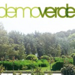 demoverde-2013