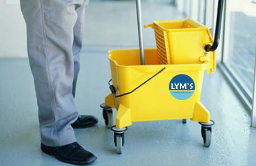 6 Puntos básicos en un presupuesto de limpieza para su empresa