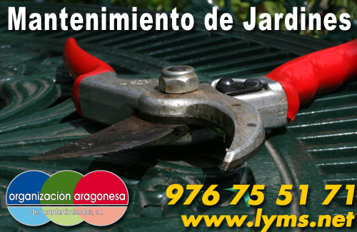 Herramientas para mantenimiento de jardÍn