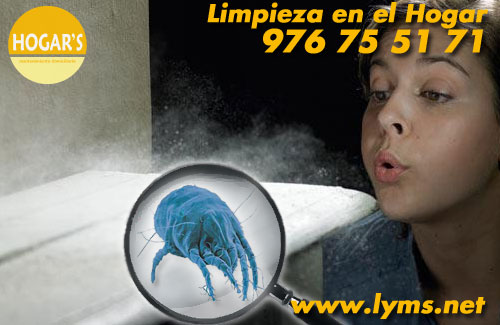 Alergias y asma por culpa del polvo doméstico