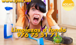 ¿Dónde se esconden los microbios?