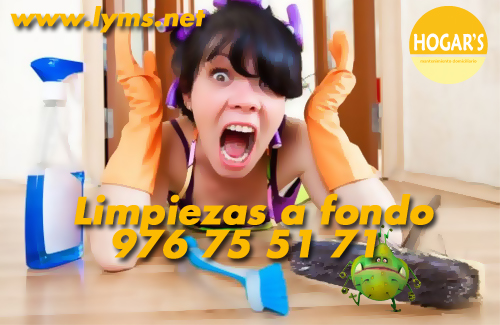 Evita los efectos nocivos de microbios, virus y bacterias con una limpieza a fondo.