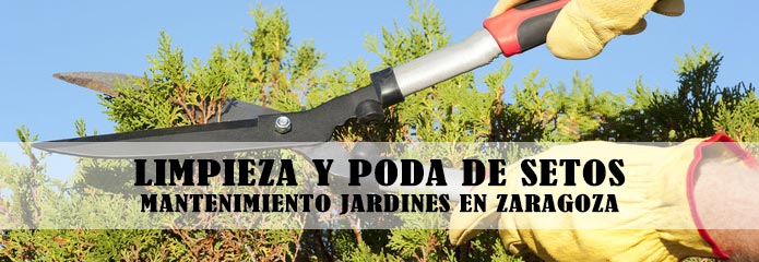 Mantenimiento y limpieza de setos en jardines