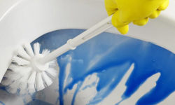 ¿Cómo limpiar el W.C. por dentro?